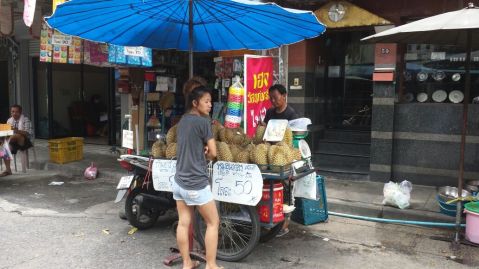 116e24eaef1a5582977d56df18e69141